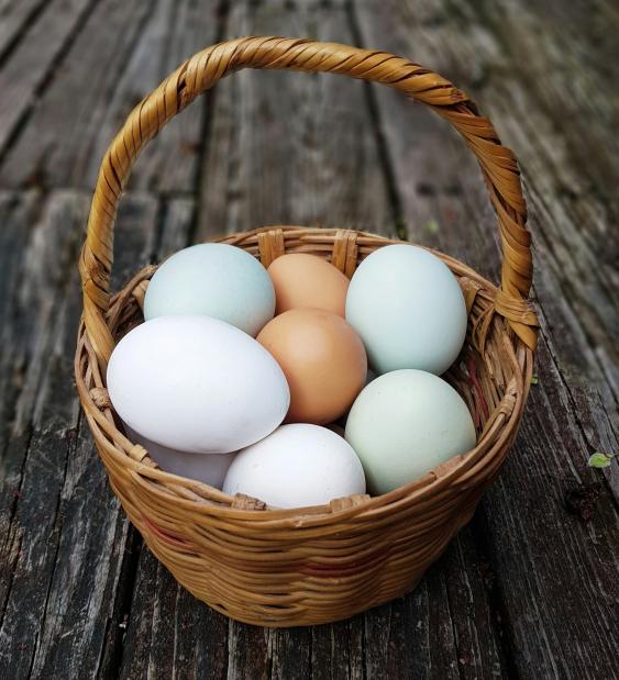 Seguridad Alimentaria