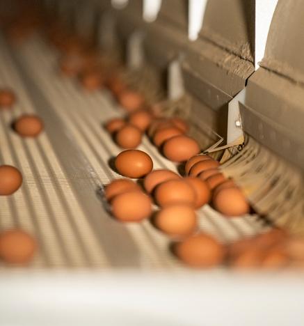 Acuerdos de producción limpia