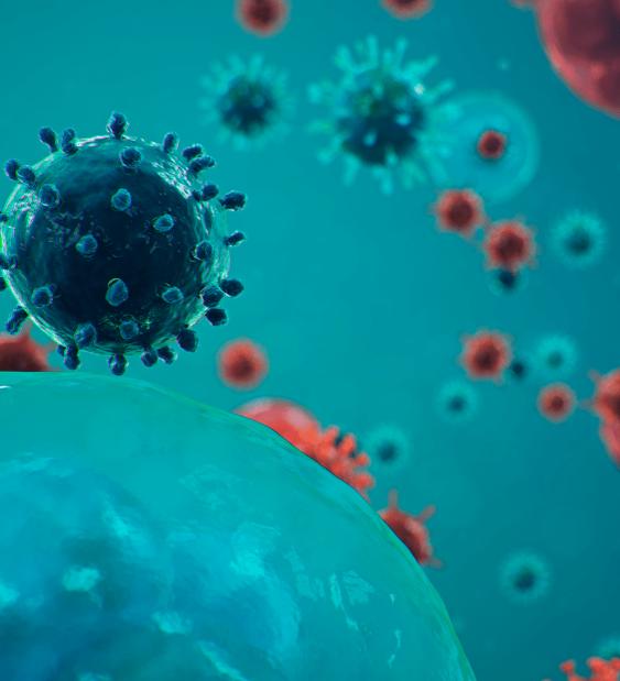 Sector productor de huevo en Chile tras Covid-19