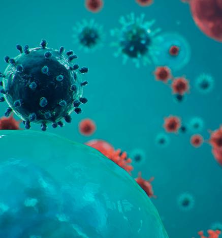 Sector productor de huevo en Chile tras Covid-19