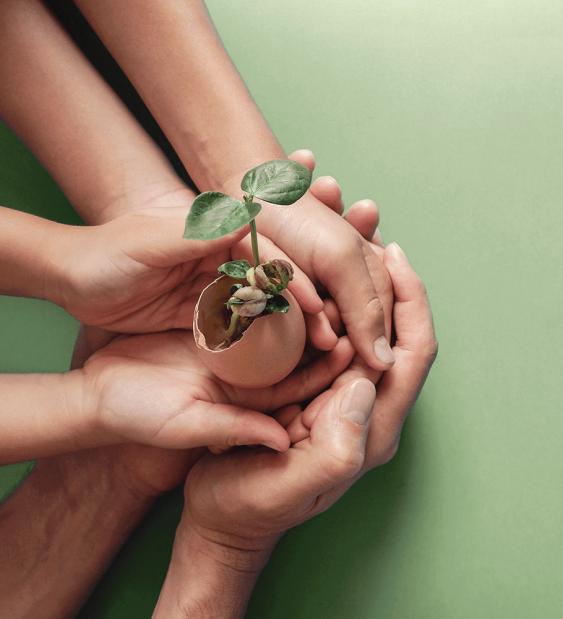 Huevo, la proteína de origen animal más sostenible