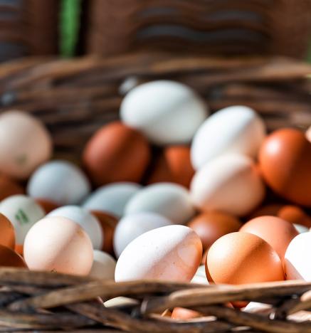 Sector privado chileno propone acciones para lograr la neutralidad de carbono