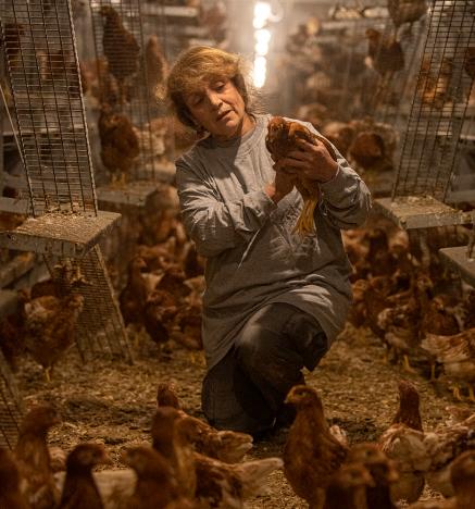 Los productores de huevo están comprometidos con el bienestar animal