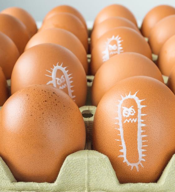 Los productores hacen esfuerzos por minimizar la presencia de salmonella en huevos