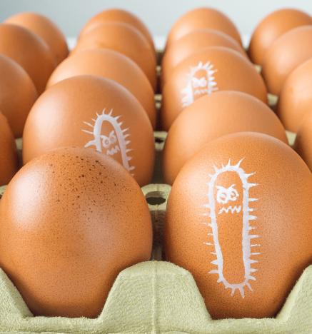 Los productores hacen esfuerzos por minimizar la presencia de salmonella en huevos