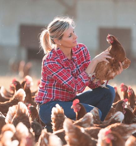 Expertos en Australia opinan sobre los sistemas de producción y bienestar de las gallinas