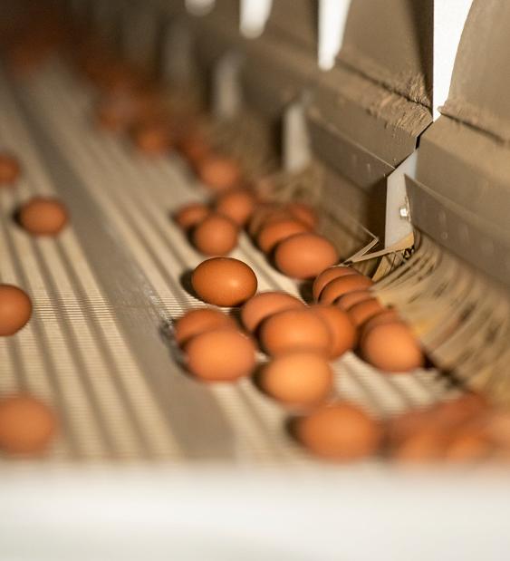 Acuerdos de producción limpia