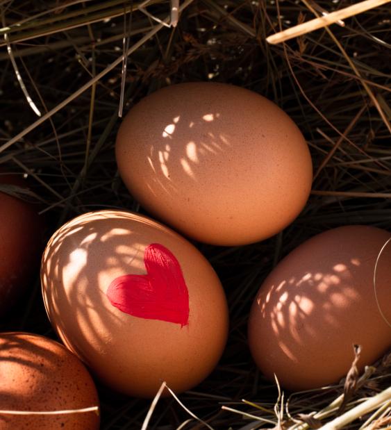 Sostenibilidad de los sistemas alimentarios