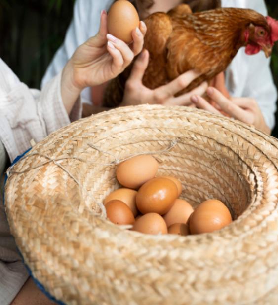 Protección Ambiental