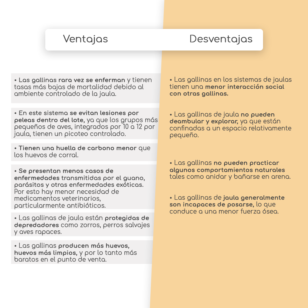 Convencional: Ventajas / Desventajas